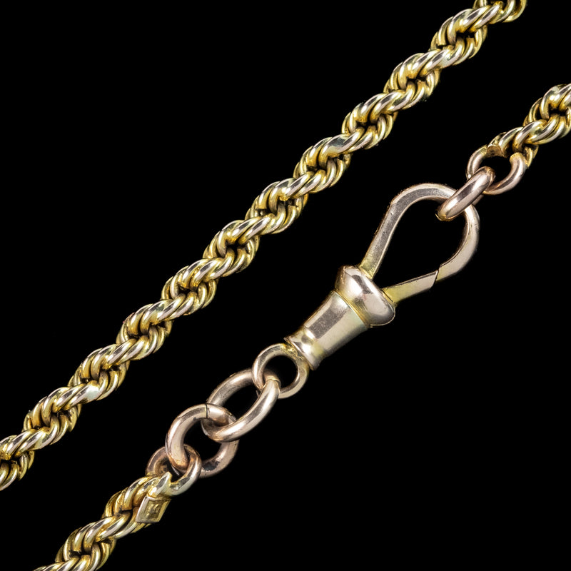 Antique Victorian Long Rope Guard Chain Necklace 9ct Gold