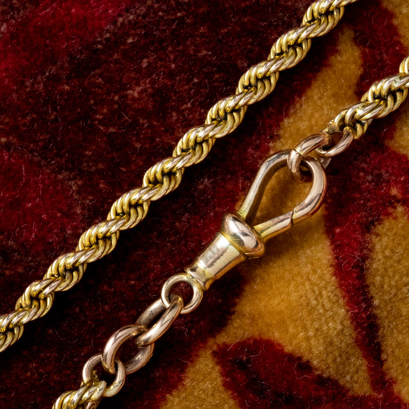 Antique Victorian Long Rope Guard Chain Necklace 9ct Gold